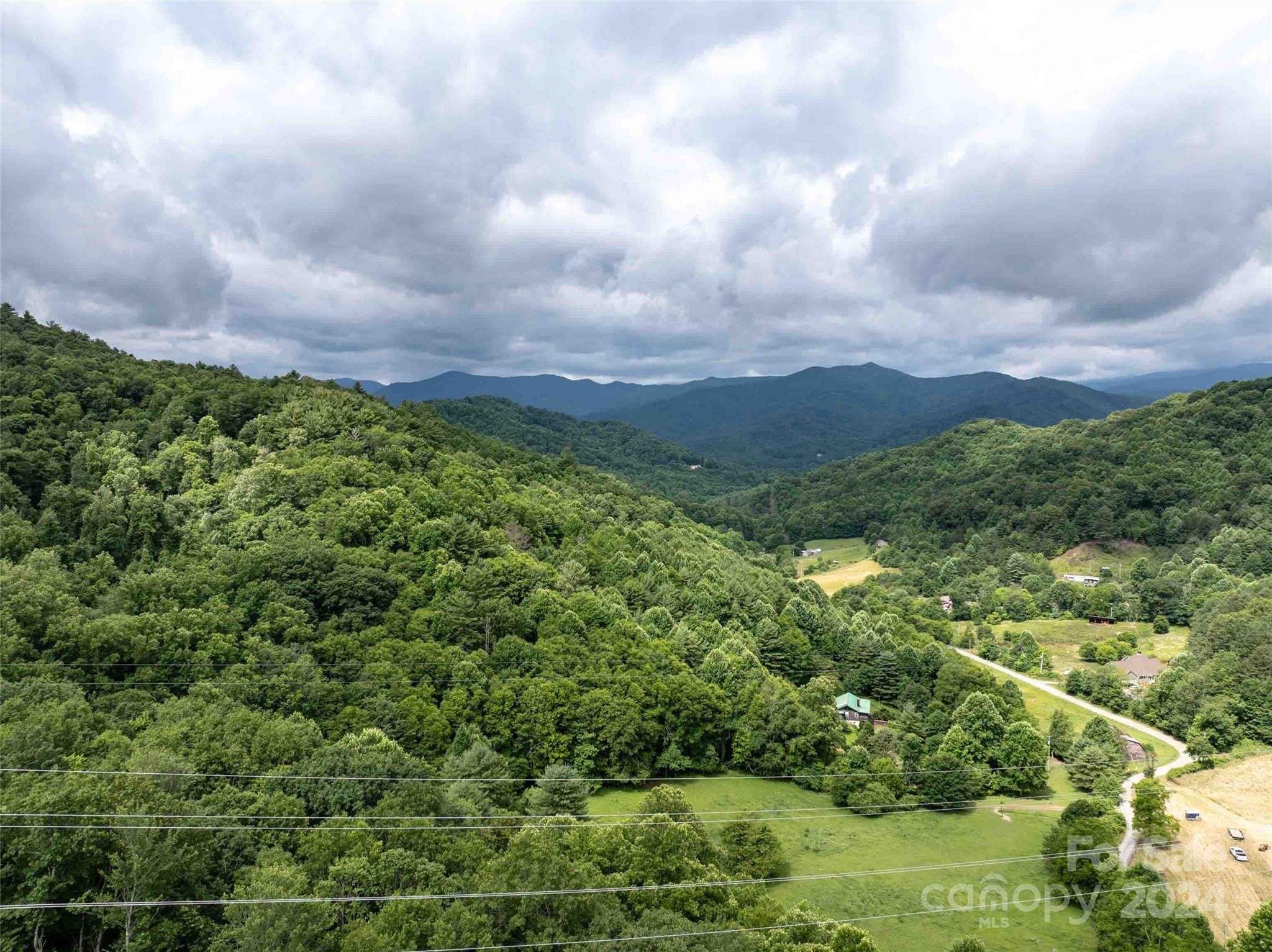 0 Water Wheel Cove Clyde, NC 28721 - Photo 11 of 22 a view of a bunch of trees