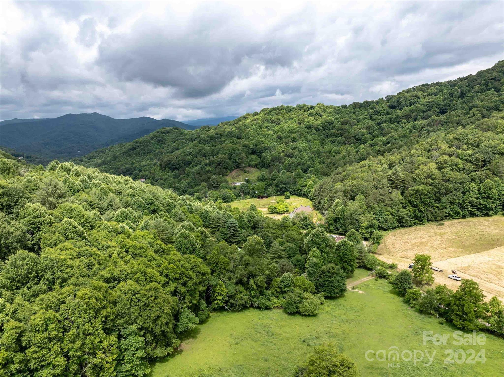 0 Water Wheel Cove Clyde, NC 28721 - Photo 12 of 22 a view of a bunch of trees and bushes