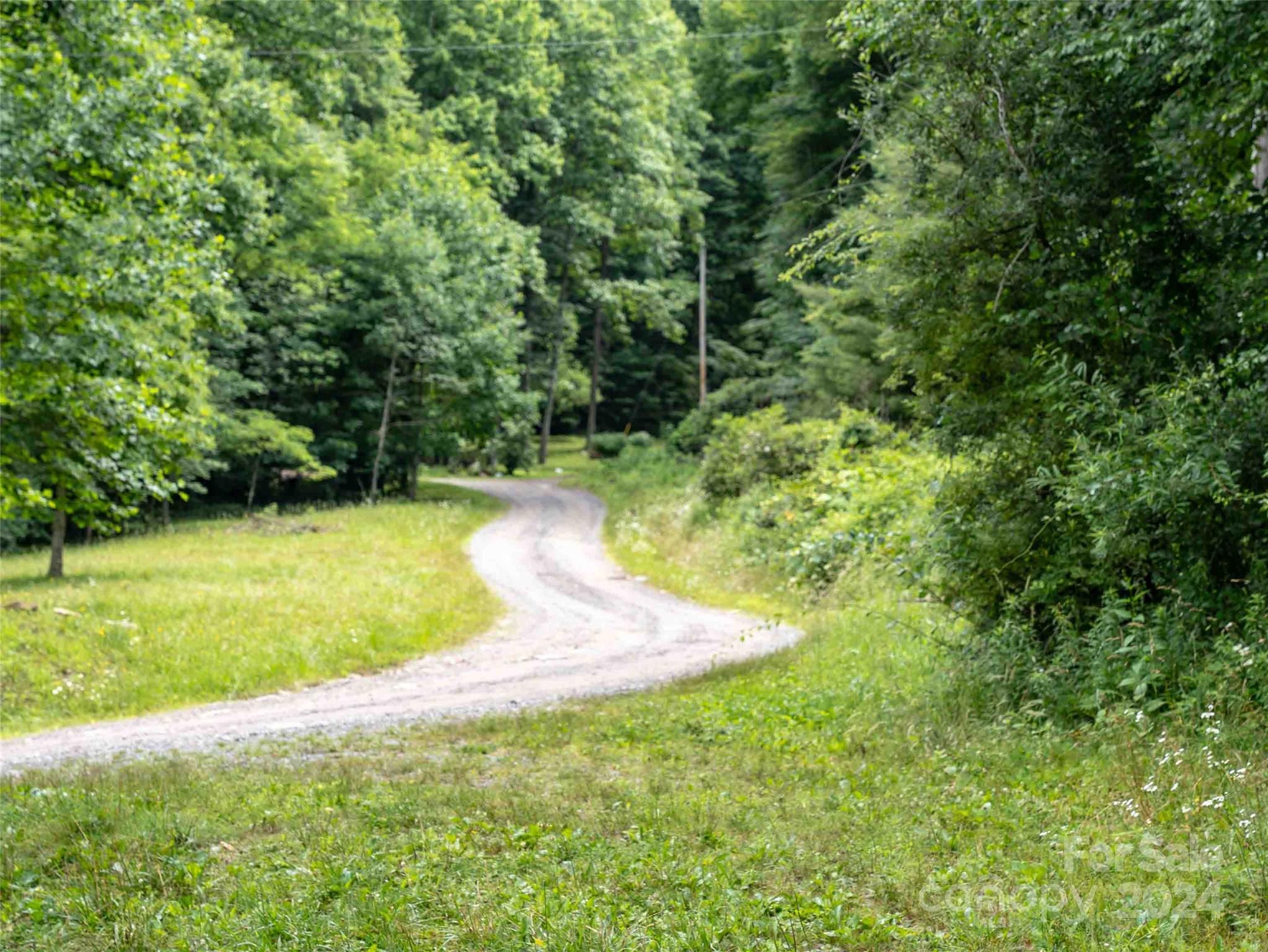 0 Water Wheel Cove Clyde, NC 28721 - Photo 14 of 22 a view of yard with green space