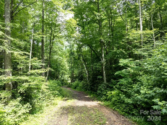 an aerial view of a forest with houses