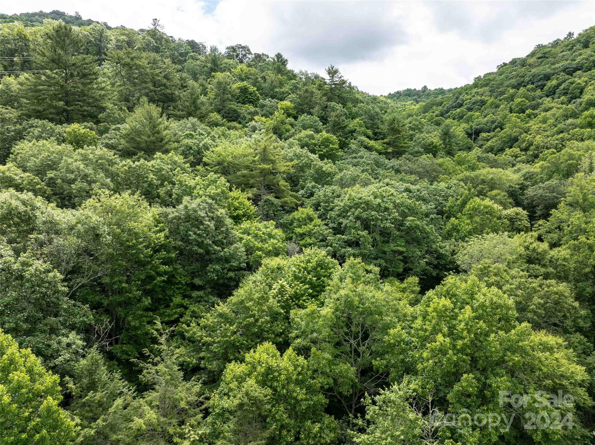 0 Water Wheel Cove Clyde, NC 28721 - Photo 17 of 22 an aerial view of a forest with houses