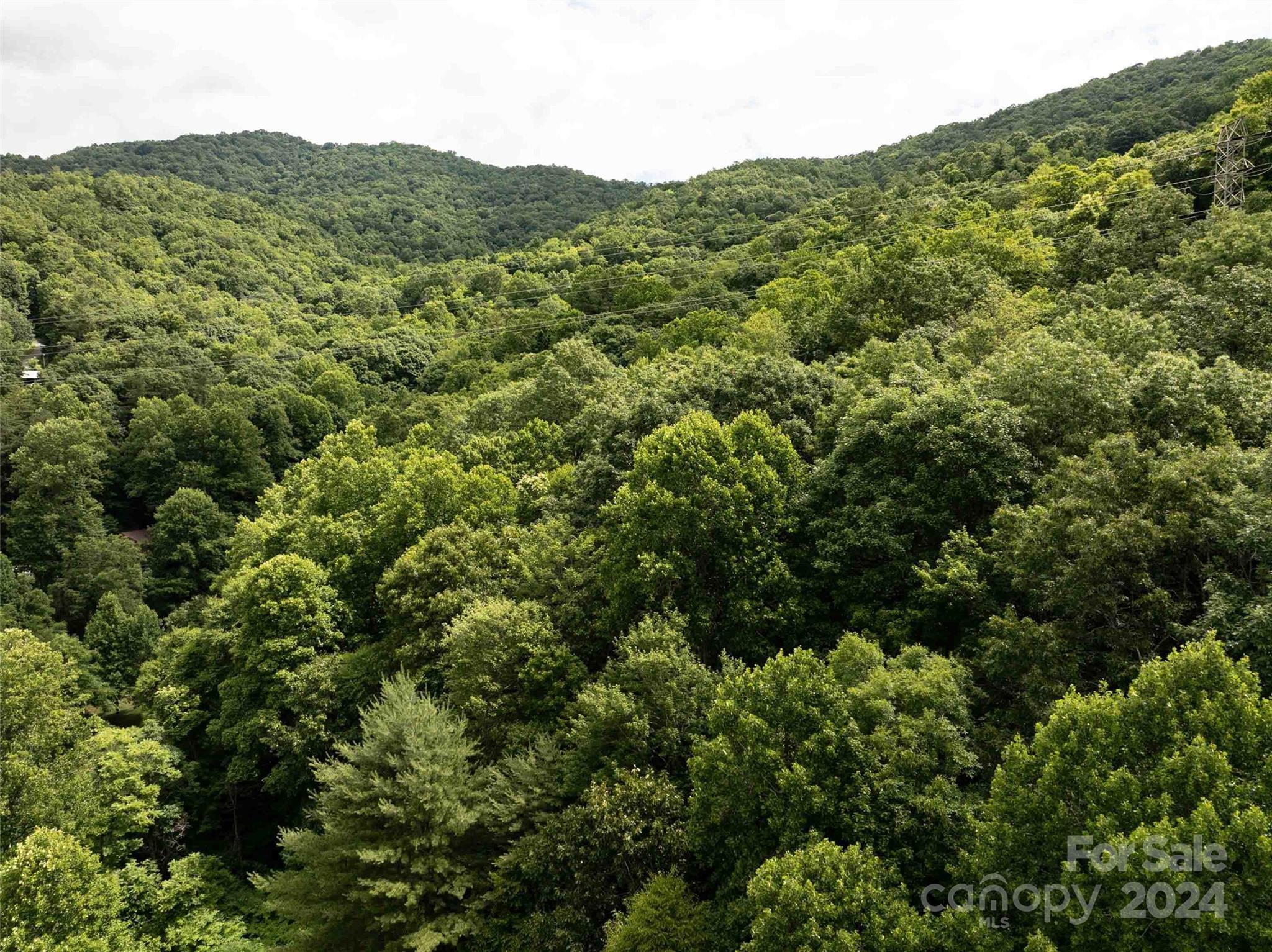 0 Water Wheel Cove Clyde, NC 28721 - Photo 18 of 22 a view of a mountain in the distance in a field