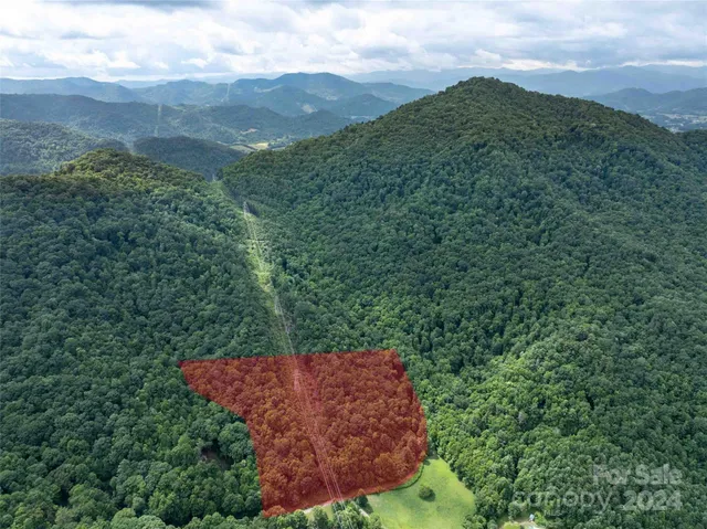 a view of a back yard