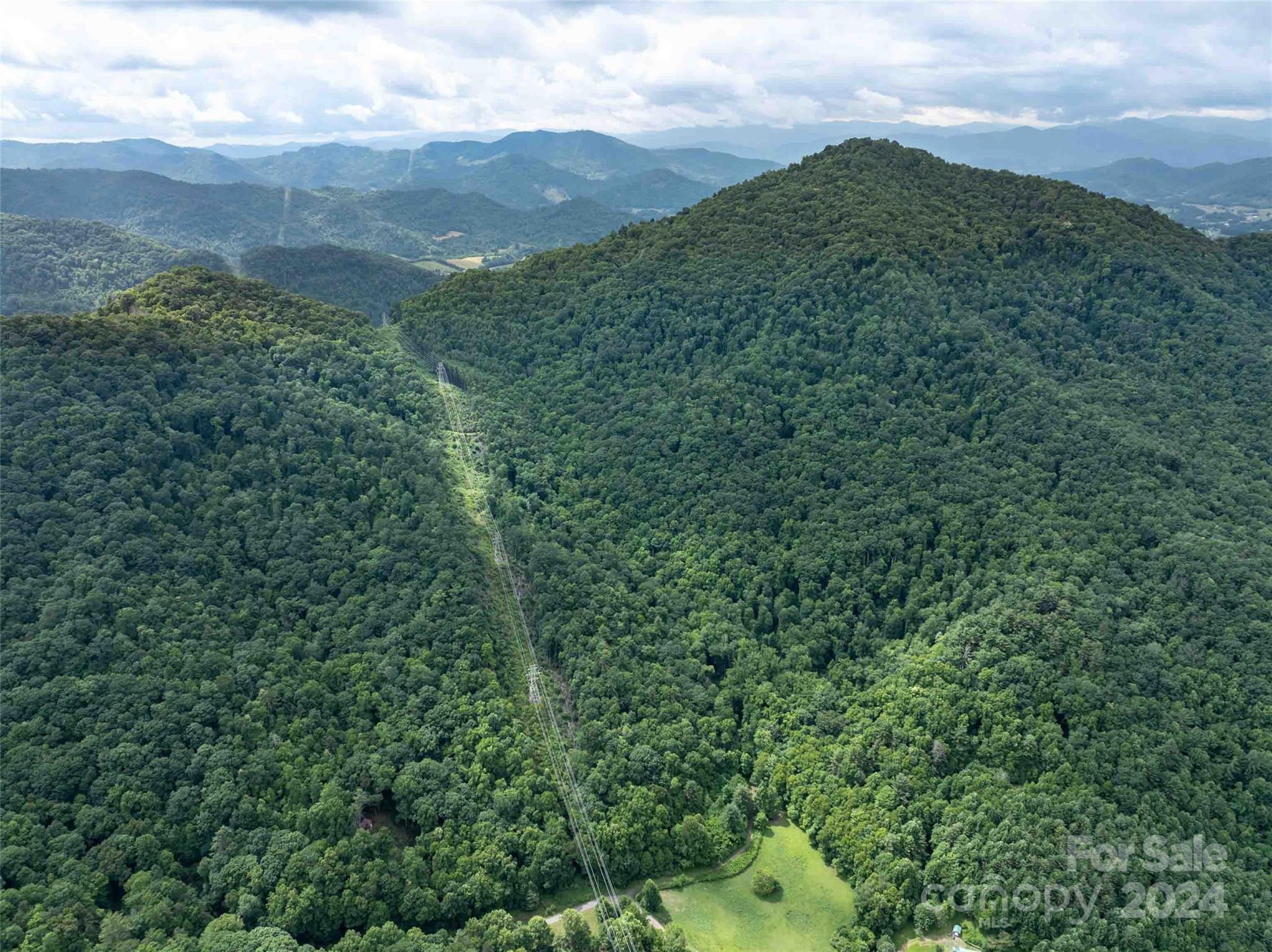 0 Water Wheel Cove Clyde, NC 28721 - Photo 22 of 22 a view of a lush green forest with lush green forest