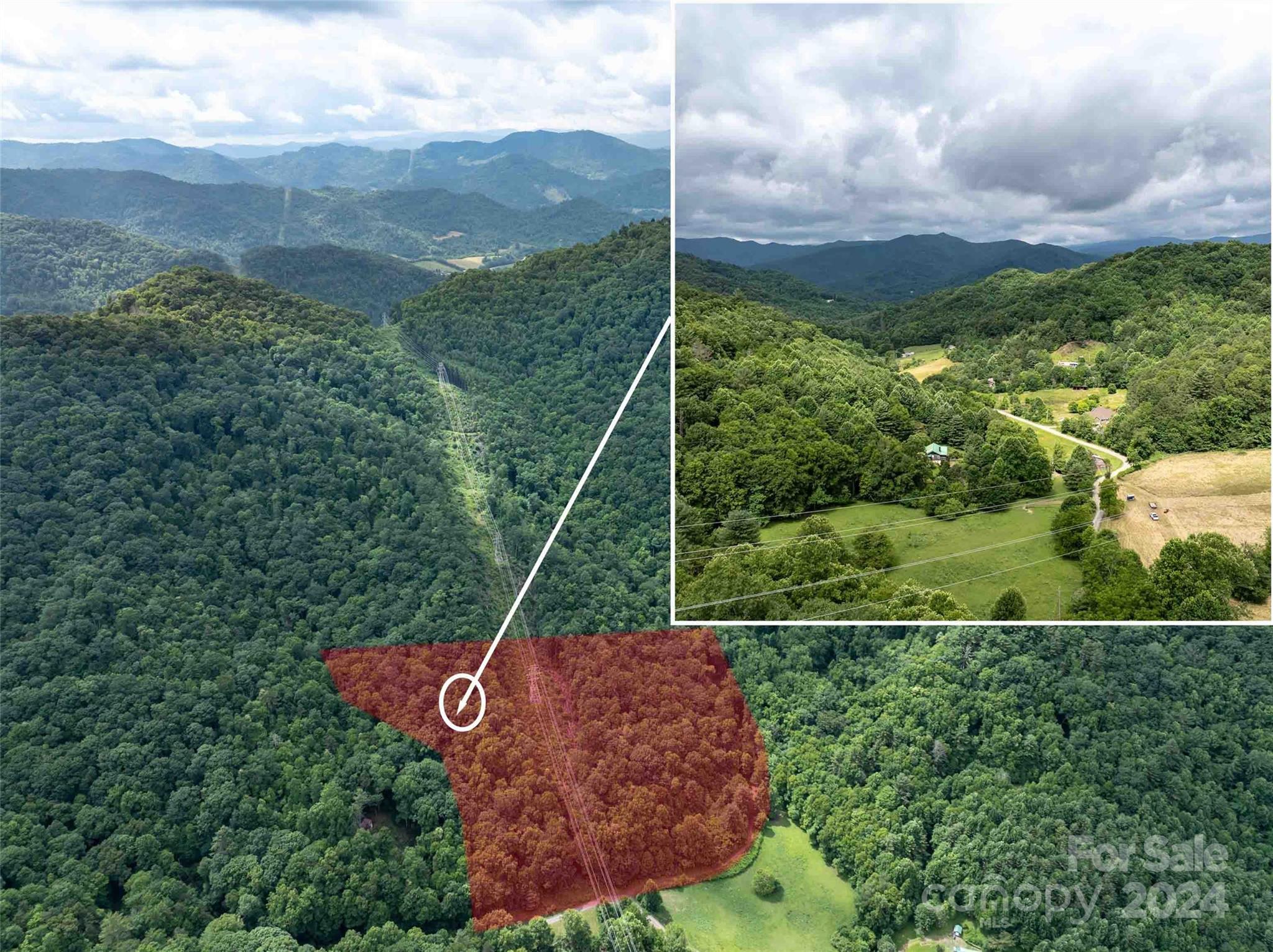 0 Water Wheel Cove Clyde, NC 28721 - Photo 3 of 22 a view of a garden with a houses