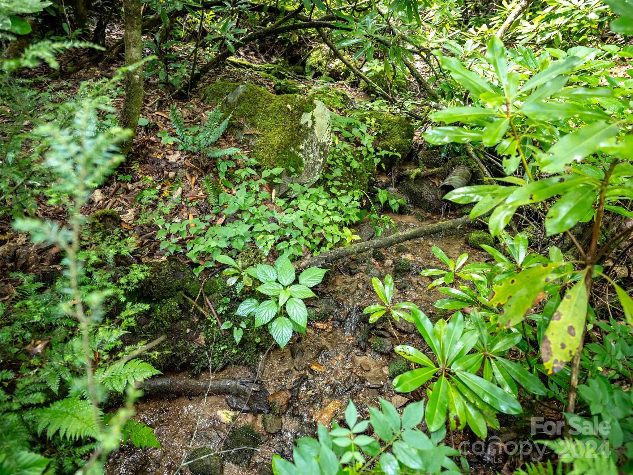 0 Water Wheel Cove Clyde, NC 28721 - Photo 7 of 22 a backyard of a house with lots of green space