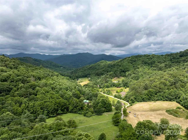 a view of a bunch of trees