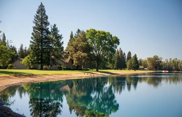 a view of a lake with trees