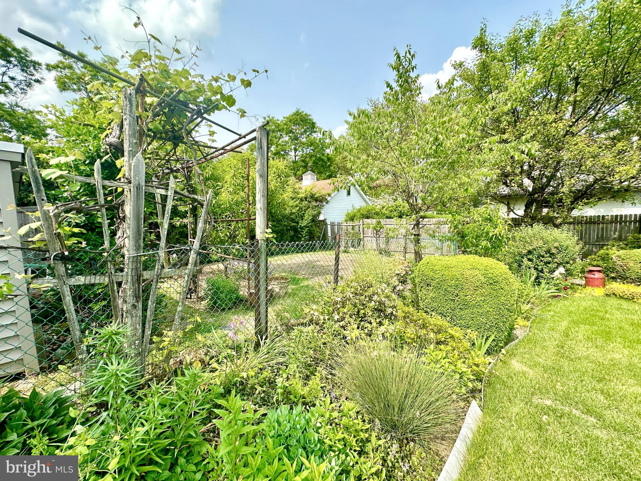 41 Harris Road Princeton, NJ 08540 - Photo 37 of 40 Organic Vegetable garden
