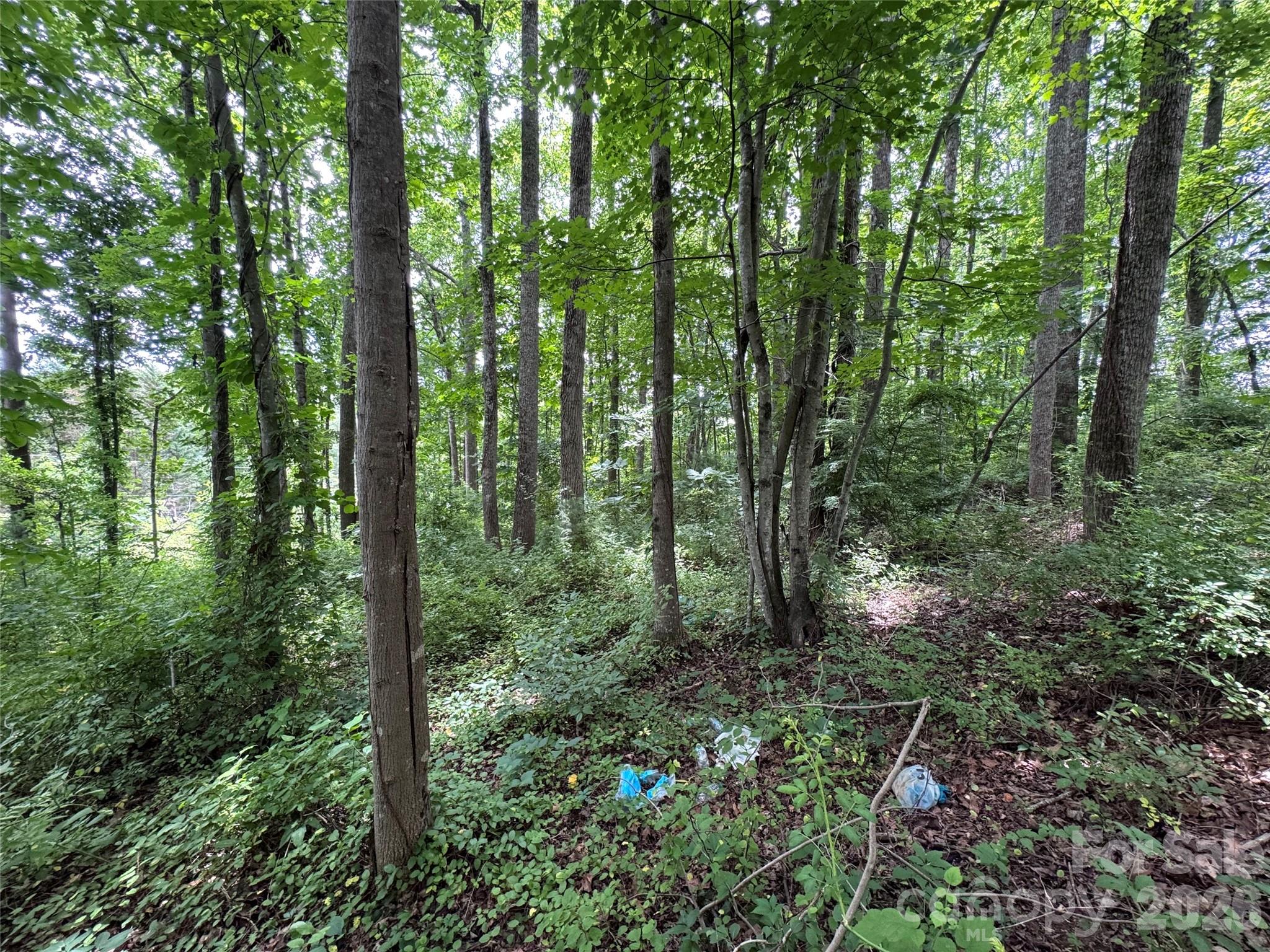 400 Sharon Road Fairview, NC 28730 - Photo 7 of 39