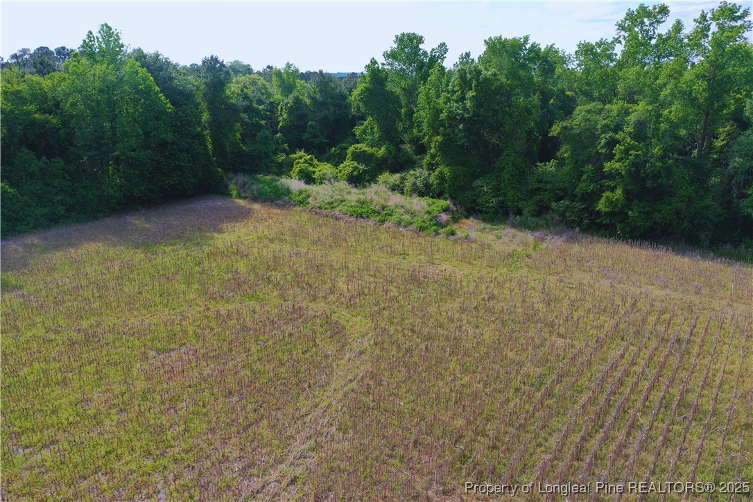 1800 Trinity Church Road Magnolia, NC 28453 - Photo 8 of 17 Gallery Image 8
