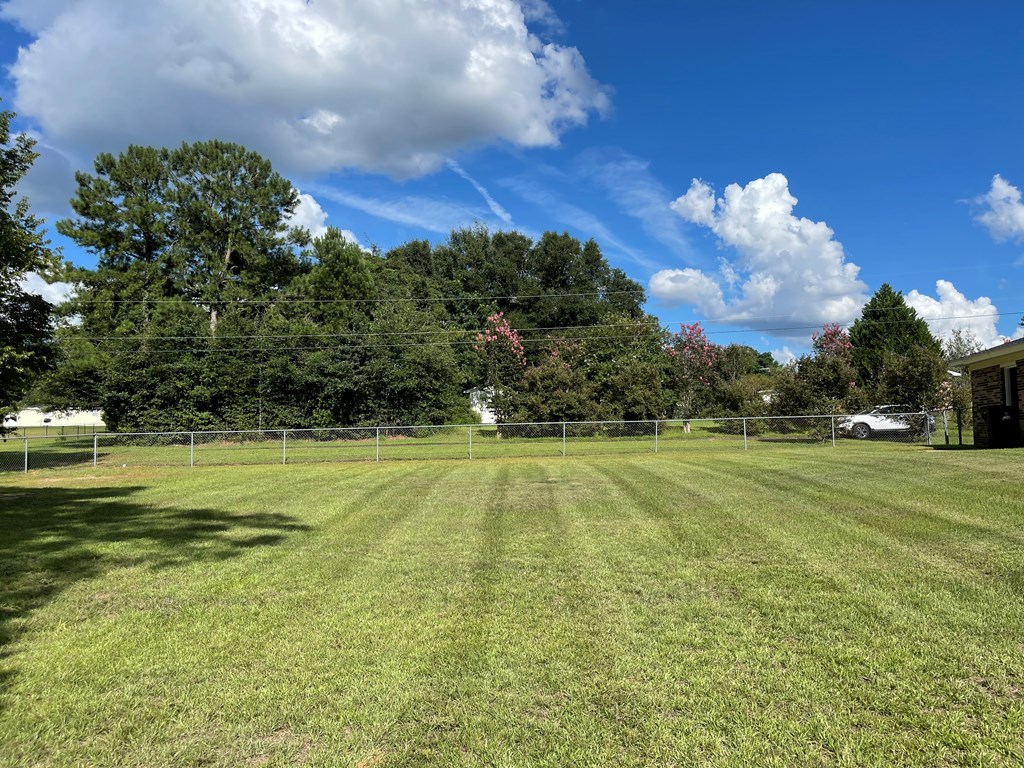 707 Dale Co Road Dothan, AL 36305 - Photo 5 of 23 Back Yard