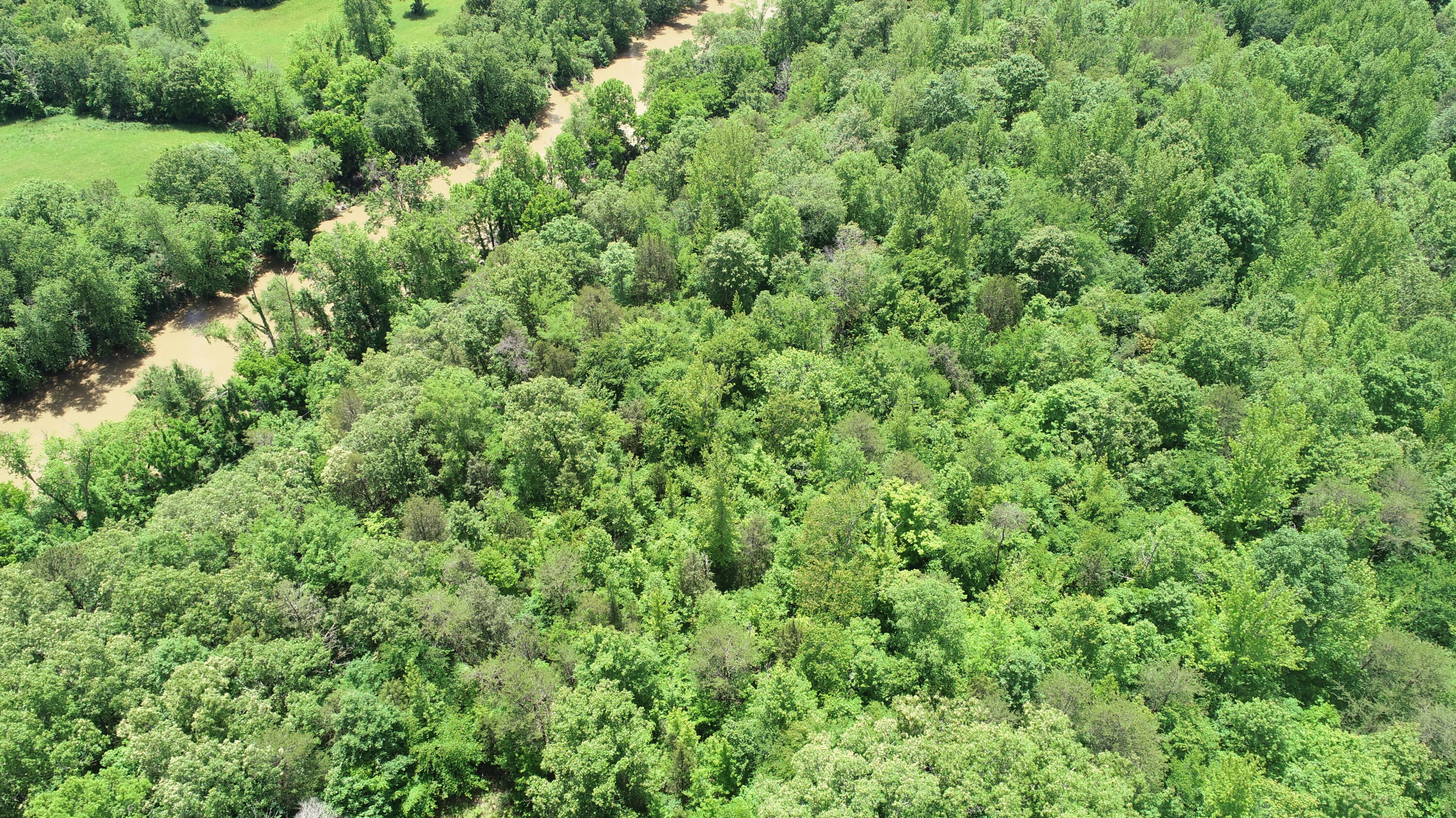 0 Sutton Mill Road Williamsburg, KY 40769 - Photo 14 of 23 DJI_0652
