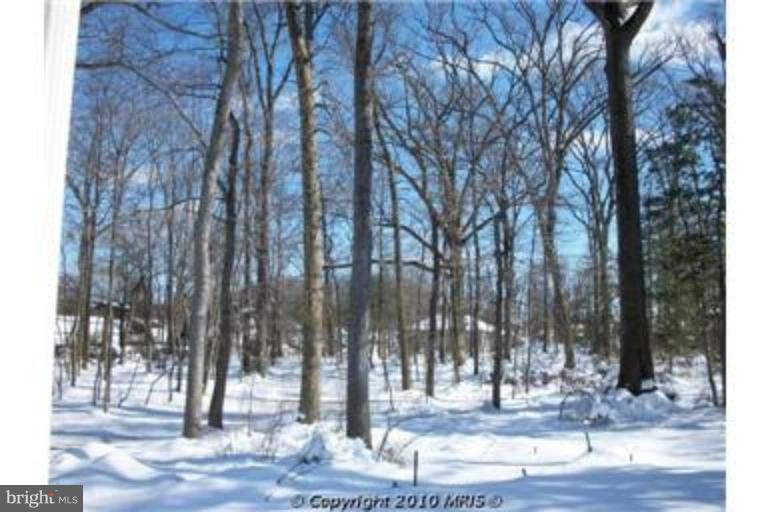316 Bowleys Quarters Road Middle River, MD 21220 - Photo 27 of 28 Wooded View / Acreage