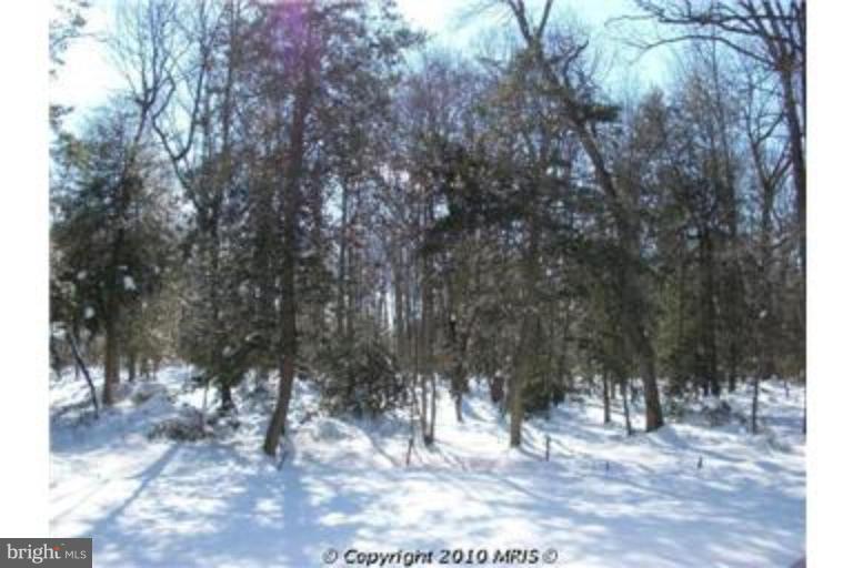 316 Bowleys Quarters Road Middle River, MD 21220 - Photo 28 of 28 Wooded View / Acreage 2