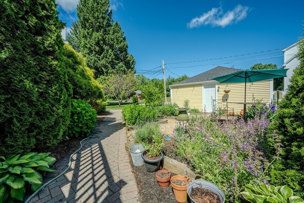120 Goldsmith Street, Unit 4 Littleton, MA 01460 - Photo 26 of 26 a view of a backyard with plants and a patio