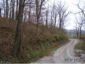 0 C Road St. Marys, WV 26170 - Photo 3 of 3
