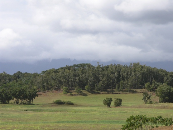 3 A Olohena Road Kapaa, HI 96746 - Photo 1 of 8