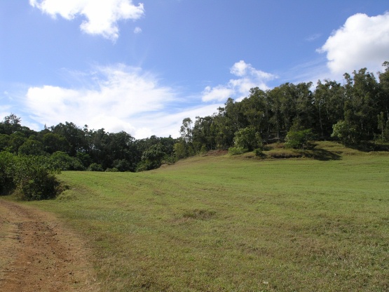 3 A Olohena Road Kapaa, HI 96746 - Photo 4 of 8