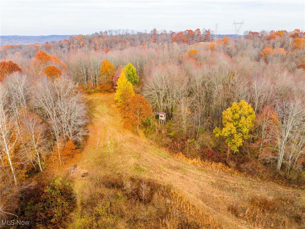 1239 Township Road Dresden, OH 43821 - Photo 48 of 50 Aerial view of a heavily wooded area