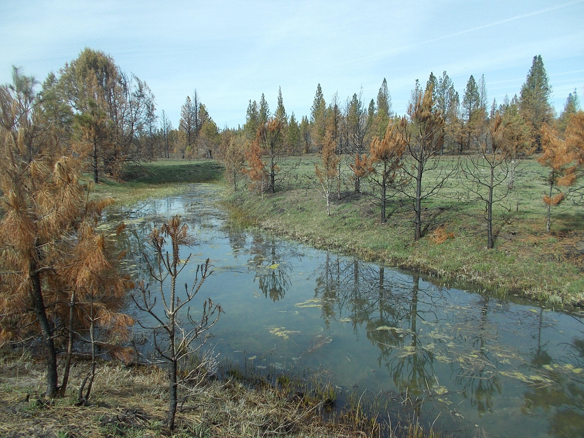 Lot 2100 Bamford Road Bly, OR 97622 - Photo 7 of 12 seasonal creek