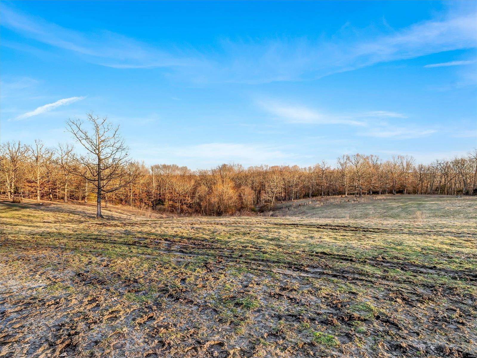 720 Frst Wds Trail St. Clair, MO 63077 - Photo 36 of 39