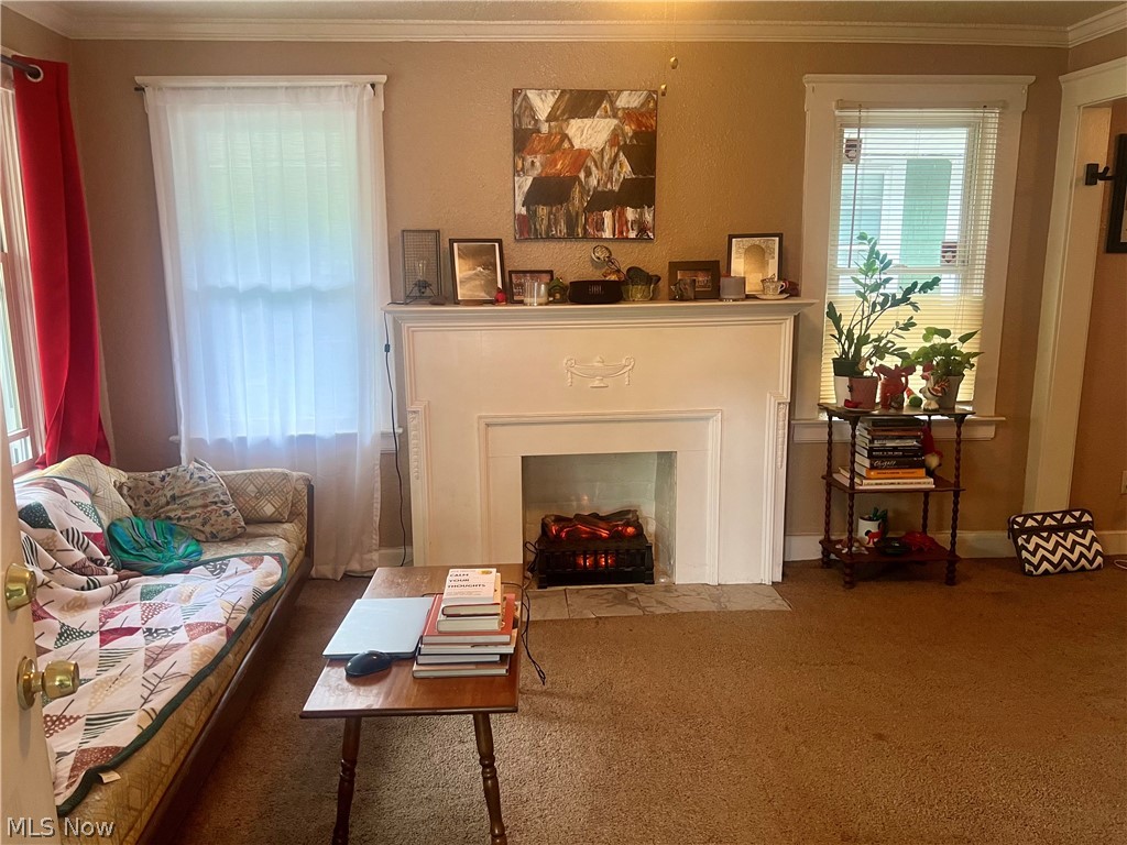 1714 Hillview Road Cleveland, OH 44112 - Photo 3 of 17 Carpeted living room with crown molding