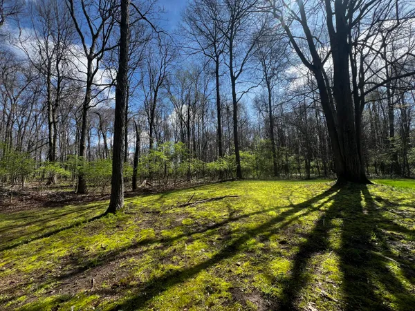 $499,900 | 1401 Meadow Lane, Hillsdale, MI 49242
