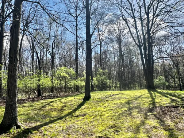 $499,900 | 1401 Meadow Lane, Hillsdale, MI 49242