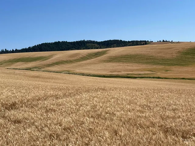 $200,000 | Tbd Tbd Gray Lane, Unit 2, Viola, ID 83872