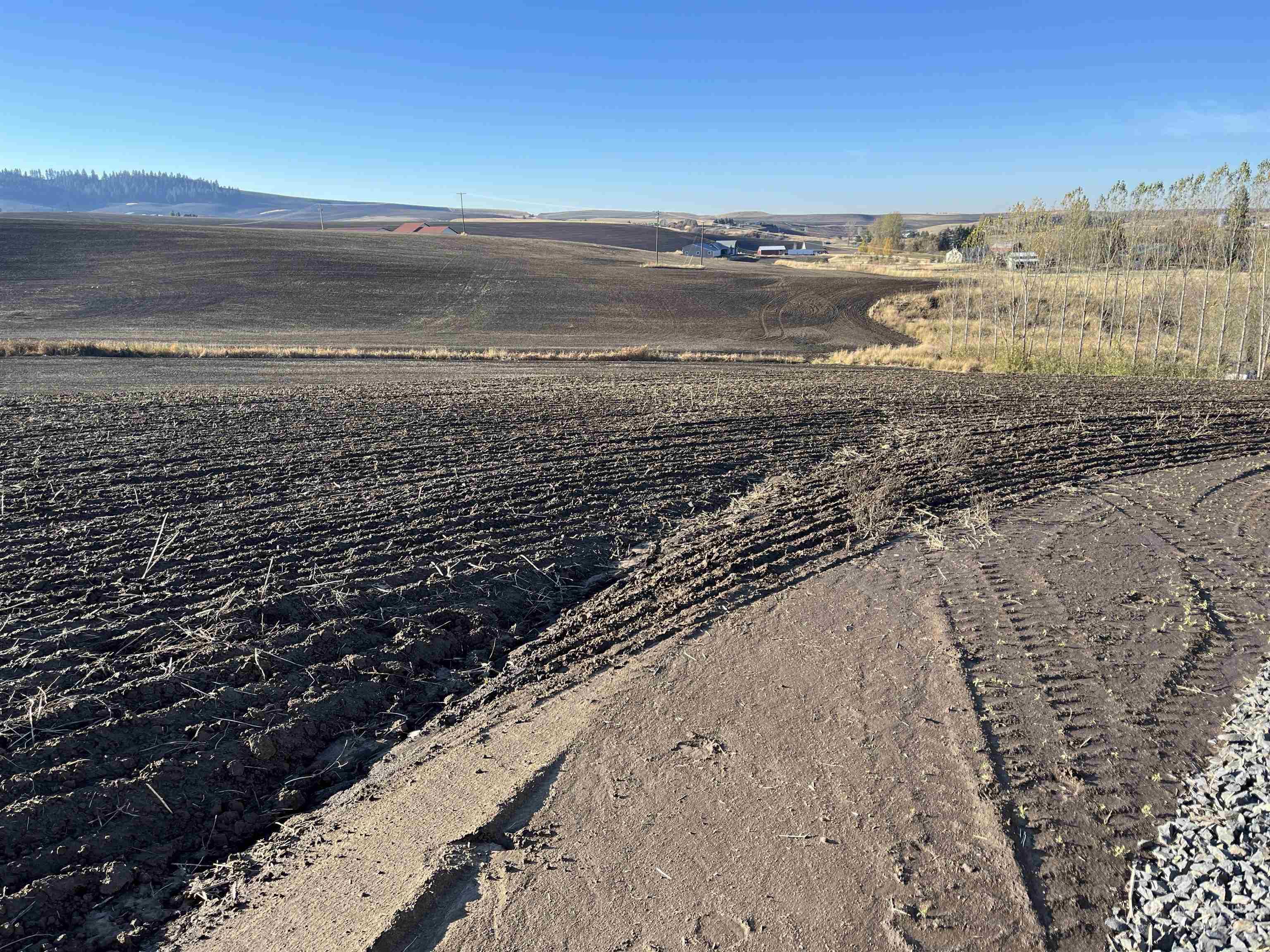 Tbd Tbd Gray Lane, Unit 2 Viola, ID 83872 - Photo 16 of 23