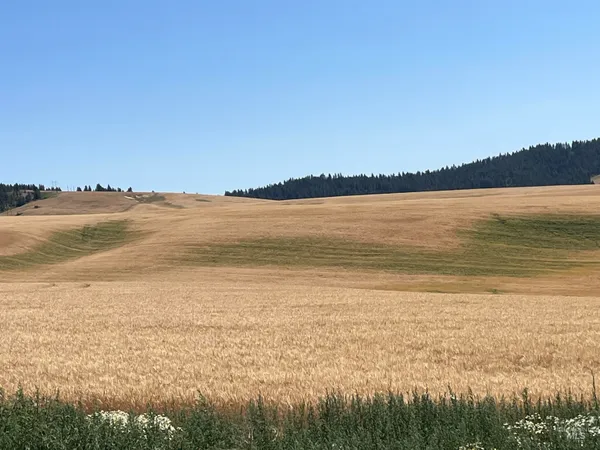 $200,000 | Tbd Tbd Gray Lane, Unit 2, Viola, ID 83872