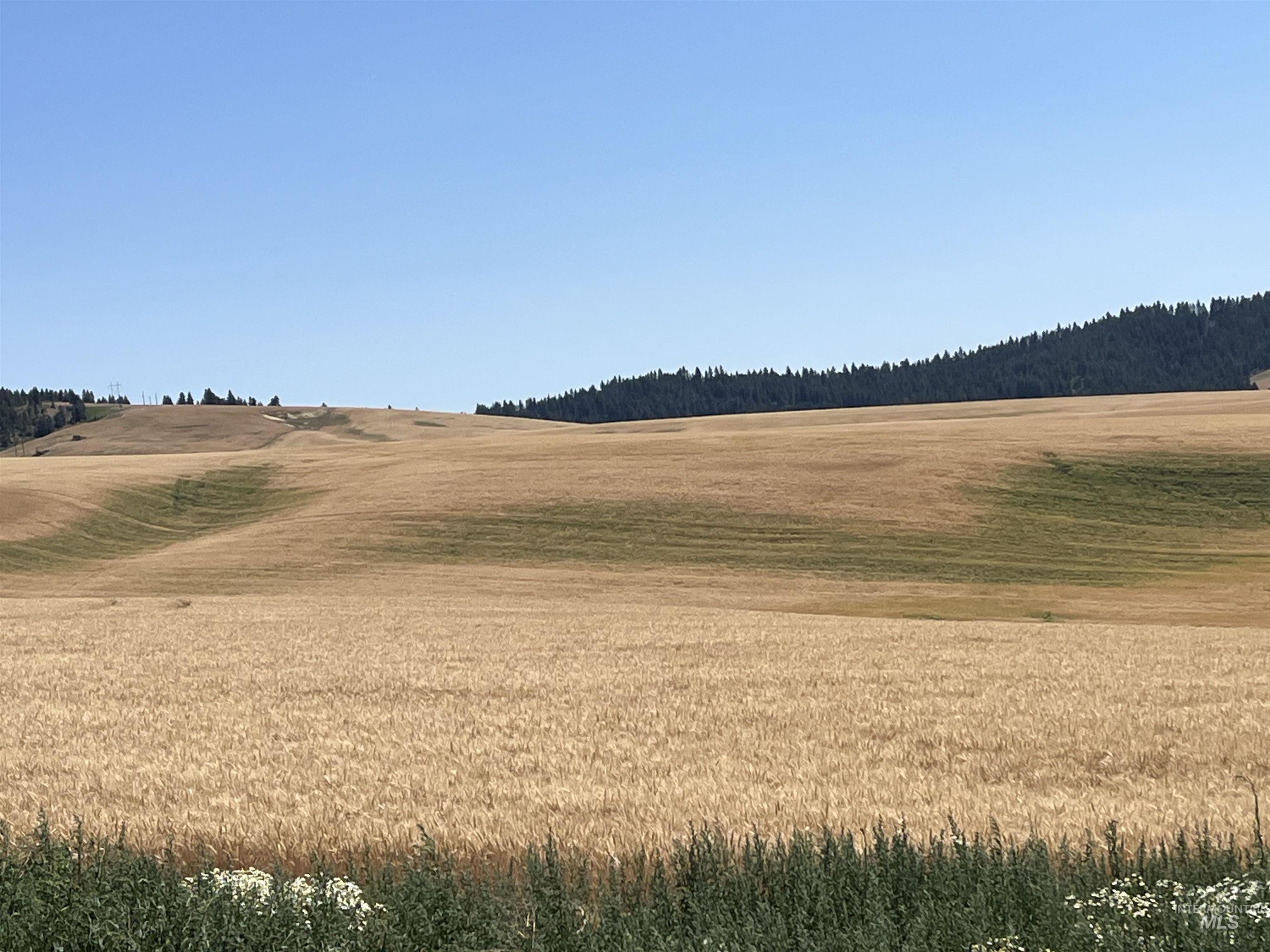 Tbd Tbd Gray Lane, Unit 2 Viola, ID 83872 - Photo 7 of 23 View of yard