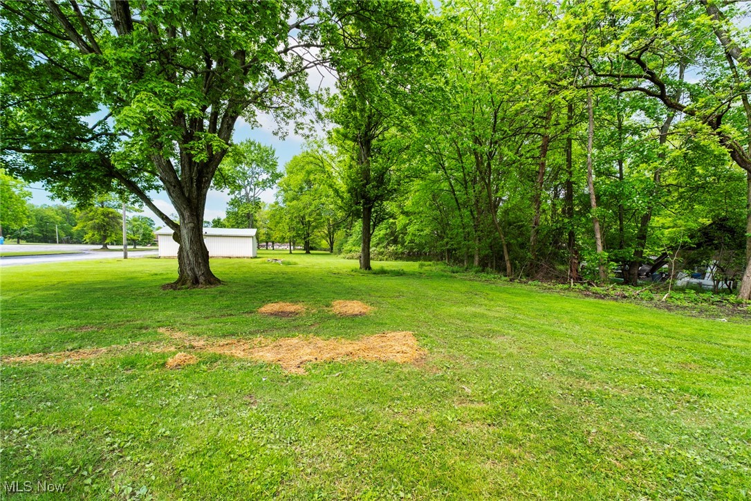 708 South Meridian Road Youngstown, OH 44515 - Photo 43 of 43 View of green lawn