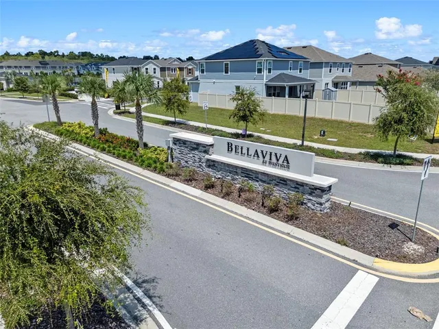 a park view with a bench and trees