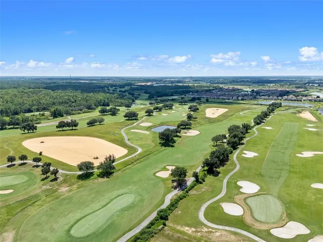 a view of a swimming pool with furniture and a potted plants