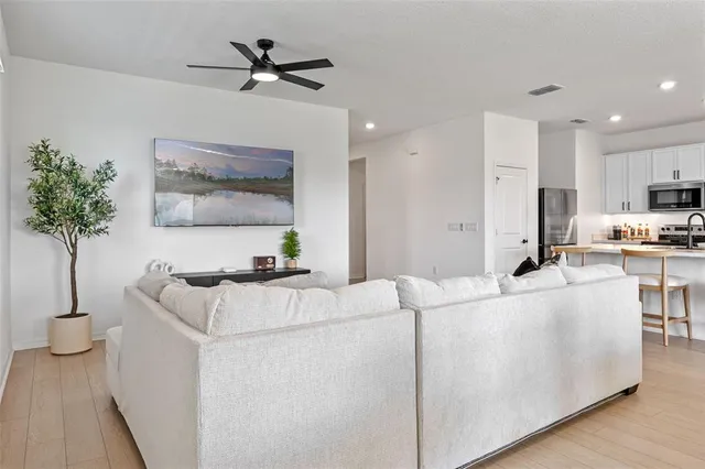 a living room with furniture and a potted plant