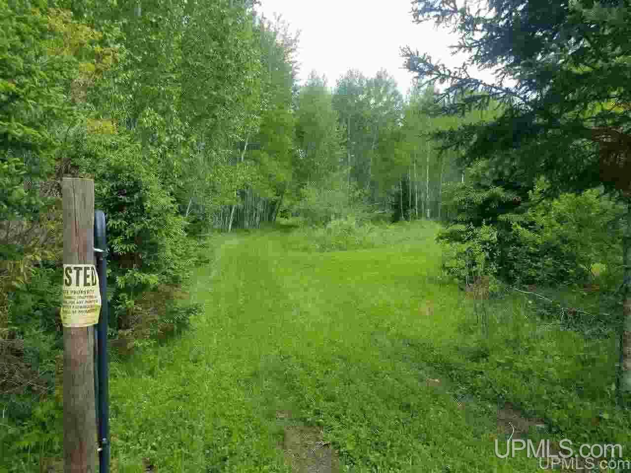40-ac Parks Farm Road Iron River, MI 49935 - Photo 1 of 20