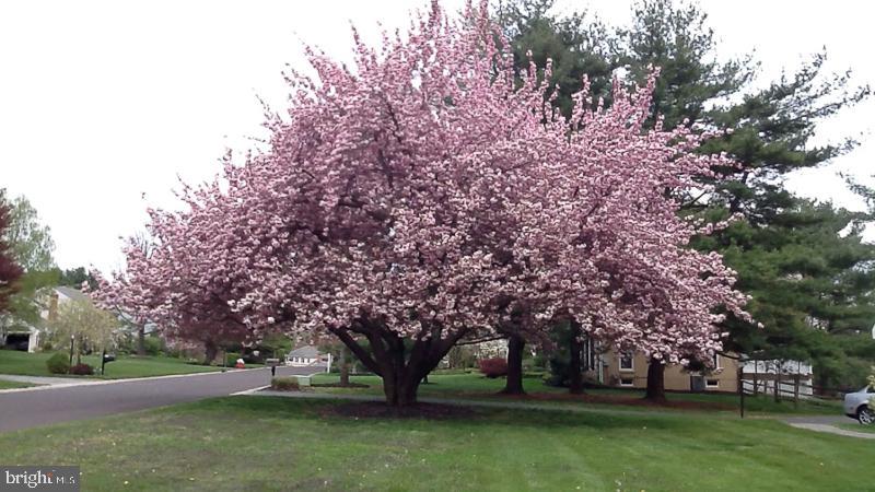 660 Joseph Drive Wayne, PA 19087 - Photo 76 of 81