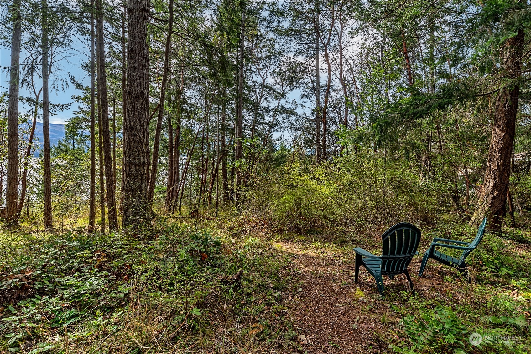 5334 Cape George Road Port Townsend, WA 98368 - Photo 3 of 15 Gallery Image 3