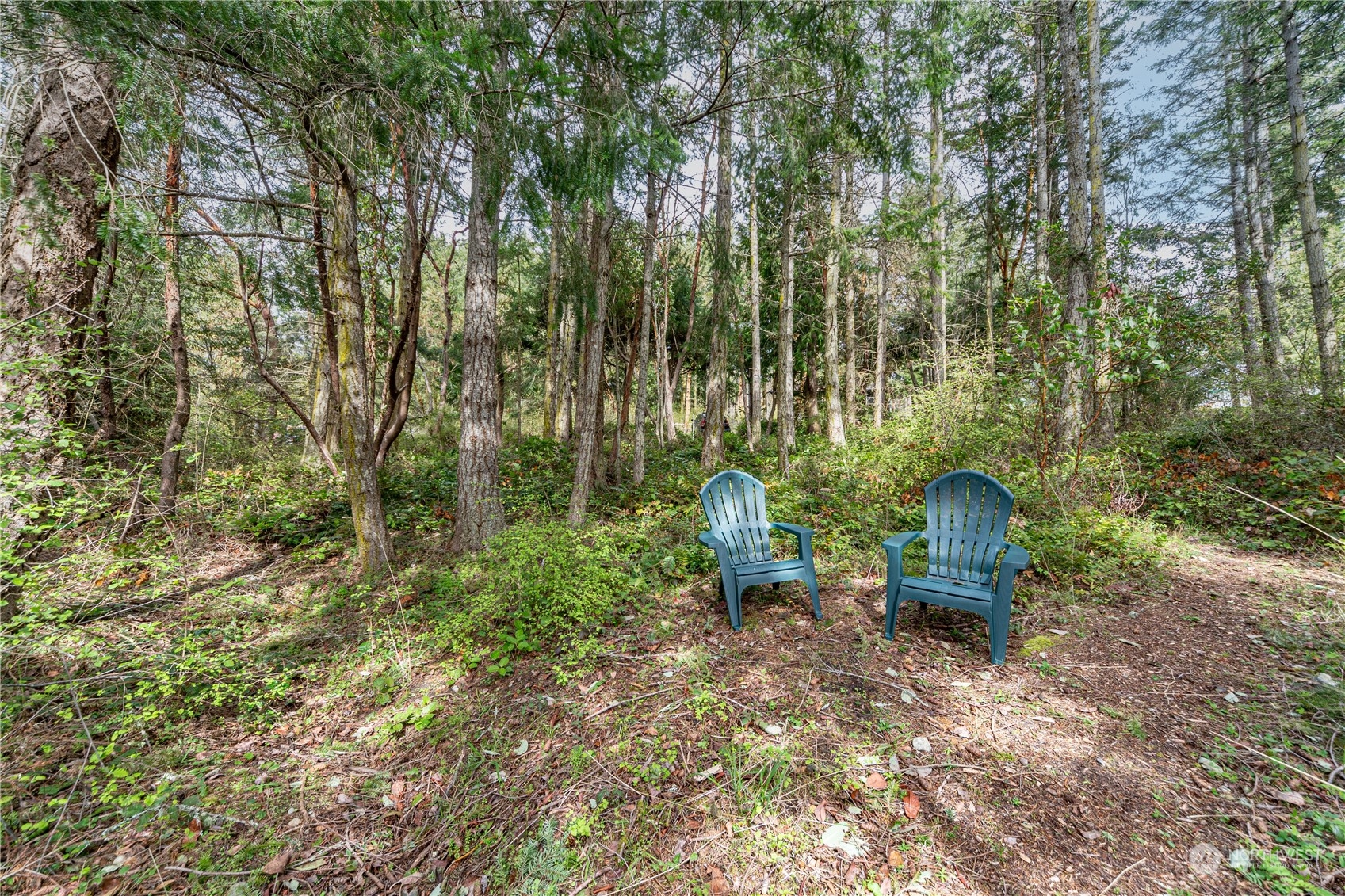5334 Cape George Road Port Townsend, WA 98368 - Photo 4 of 15 Gallery Image 4