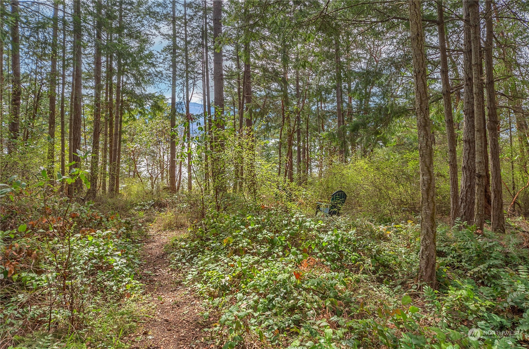 5334 Cape George Road Port Townsend, WA 98368 - Photo 5 of 15 Gallery Image 5