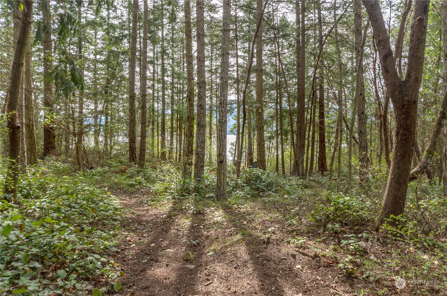 5334 Cape George Road Port Townsend, WA 98368 - Photo 6 of 15 Gallery Image 6