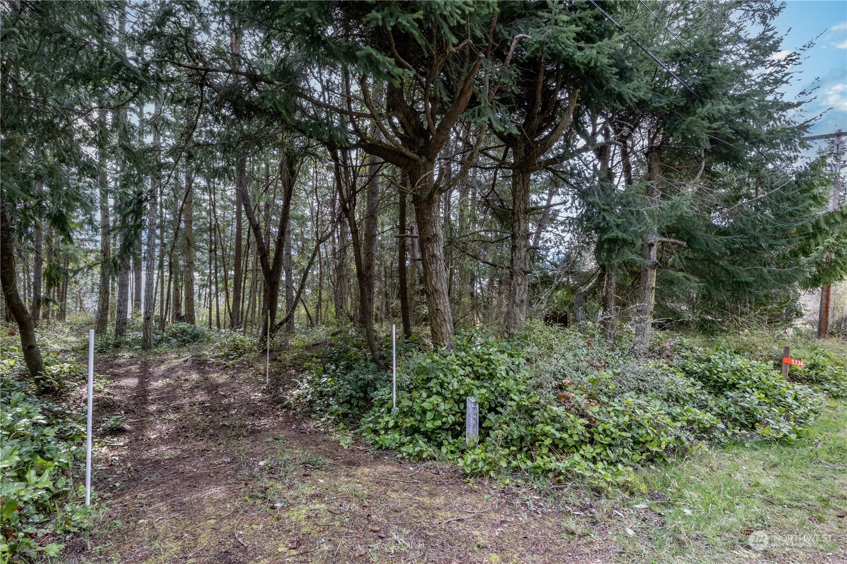 5334 Cape George Road Port Townsend, WA 98368 - Photo 8 of 15 Gallery Image 8