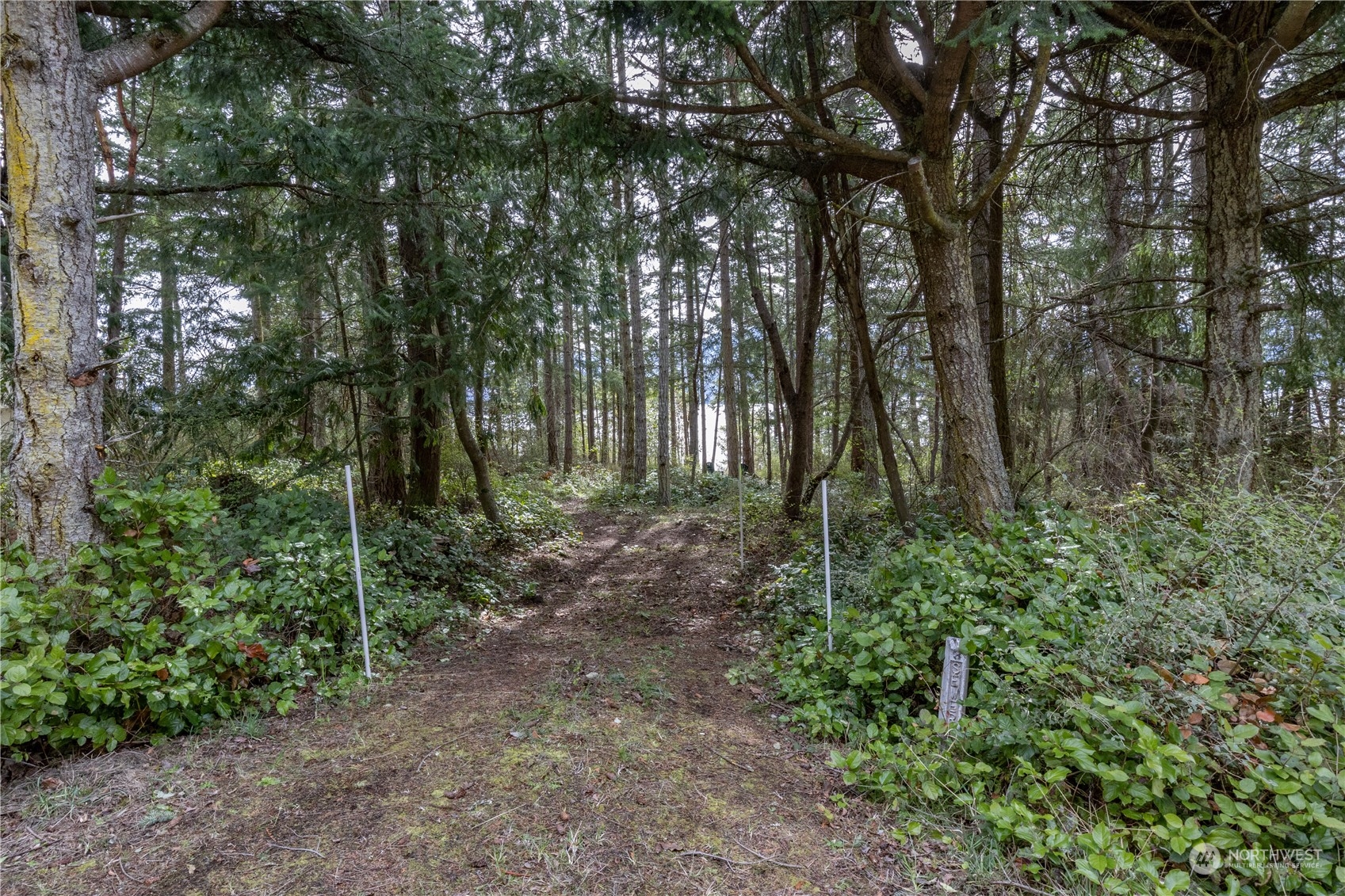 5334 Cape George Road Port Townsend, WA 98368 - Photo 9 of 15 Gallery Image 9