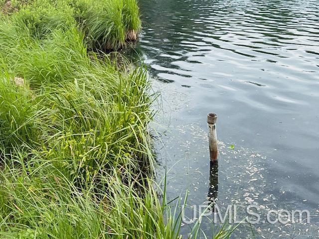 217 East Lake Emily Road Crystal Falls, MI 49920 - Photo 64 of 65