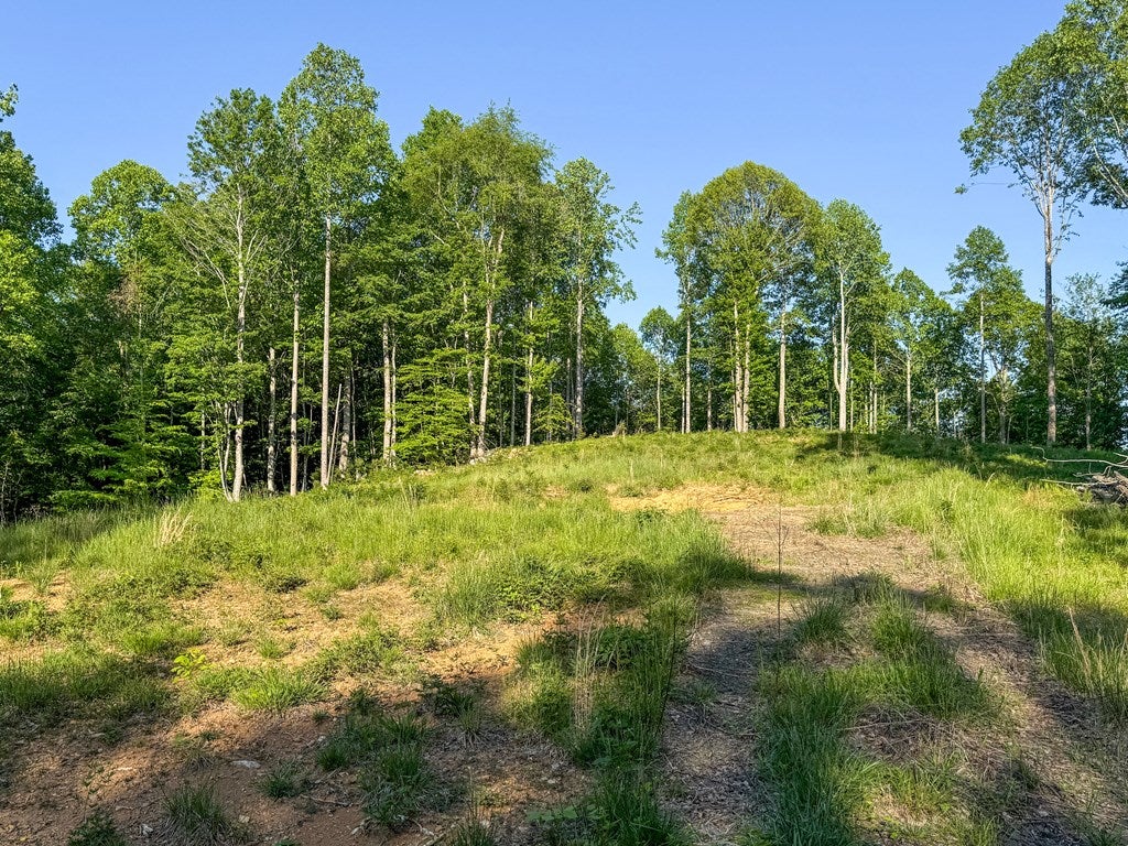 65-ac Dugspur Road, Unit 18 Dugspur, VA 24325 - Photo 56 of 68 Gallery Image 56