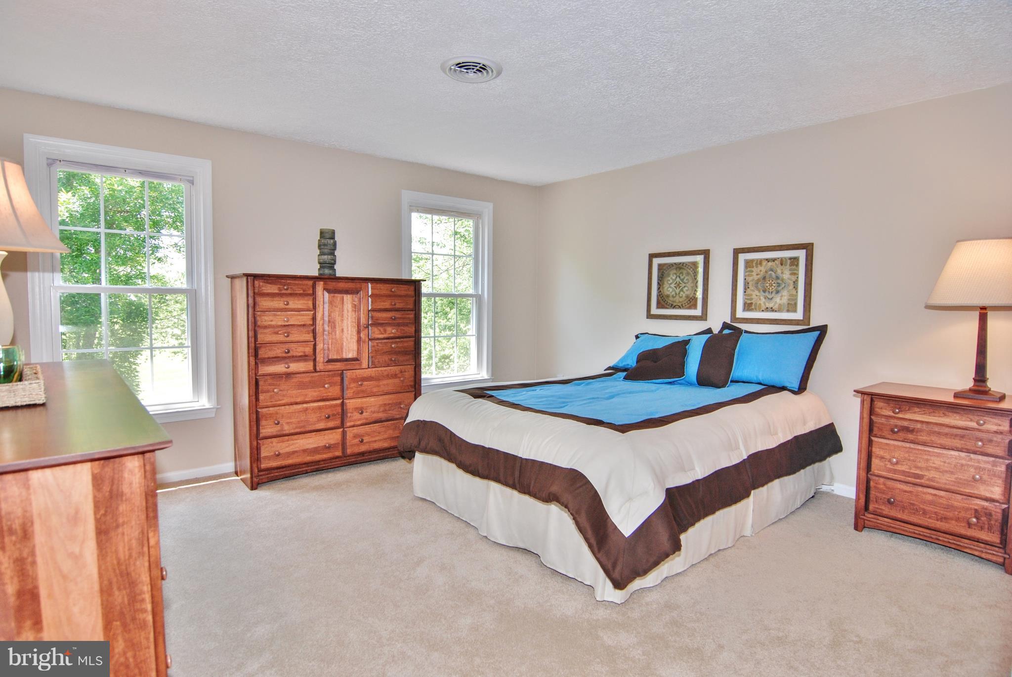 7427 Round Hill Road Frederick, MD 21702 - Photo 22 of 30 Bedroom (Master)