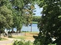 a view of a yard with trees