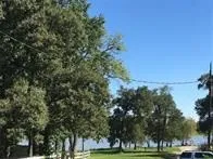 a view of a town with large trees